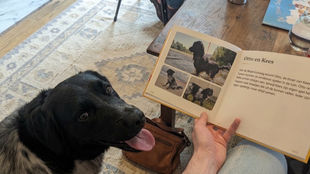 Otto looks up from the open printed book about Kees, on the page about Otto and Kees.